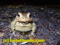 /home//u458753944/public_html/sourcegallery//McKaig Nature Center/2020-09-27/P9270700.JPG